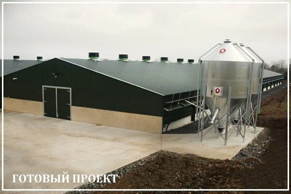 Этапы возведения птицефабрики от завода ВелесТент-скп